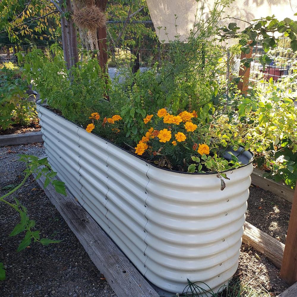 32'' Extra-Tall 8'x2' Metal Modular Corrugated Raised Garden Bed Kit (9 in 1)