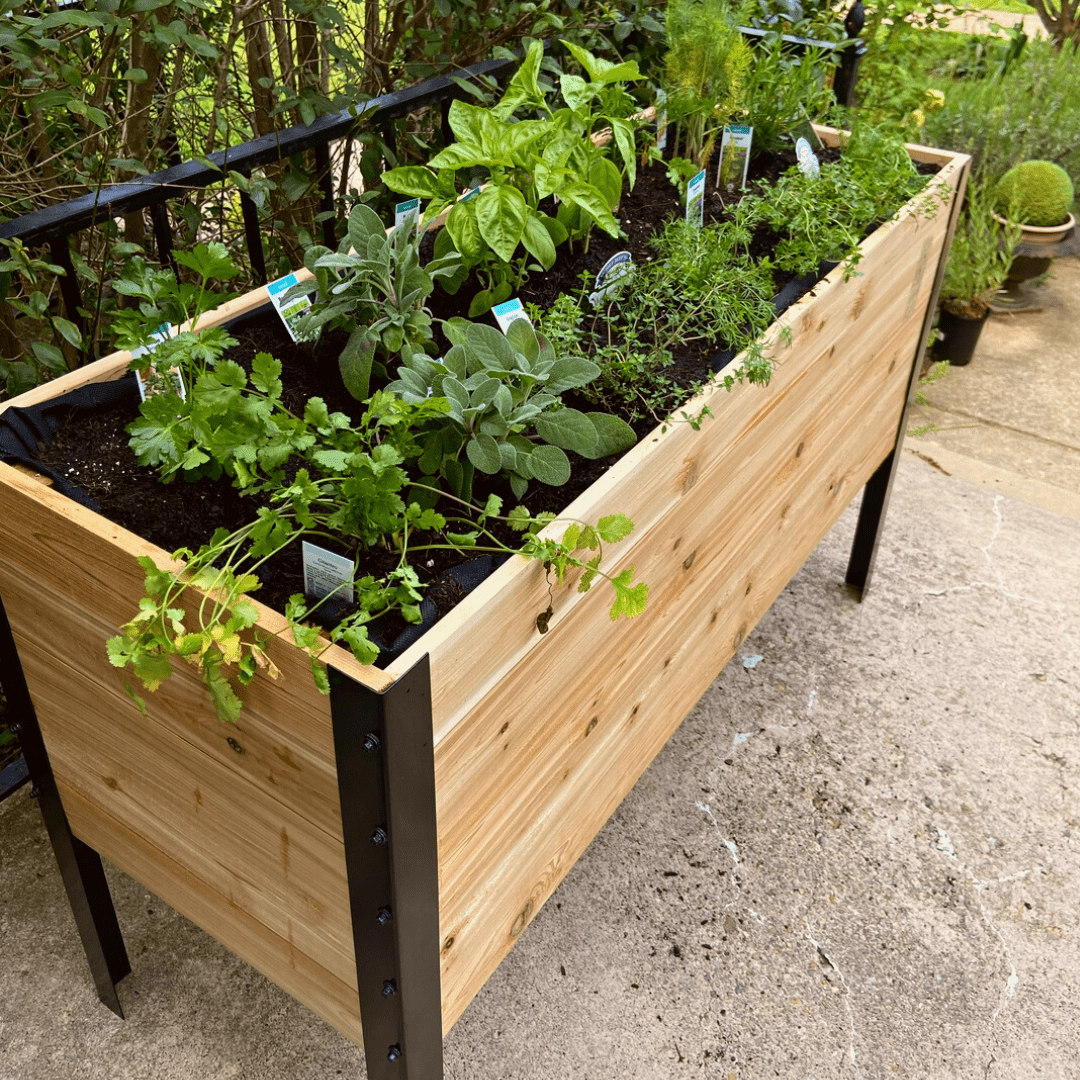 Cedar Planters 18″ X 48″ RAISED GARDEN BED - 30" TALL