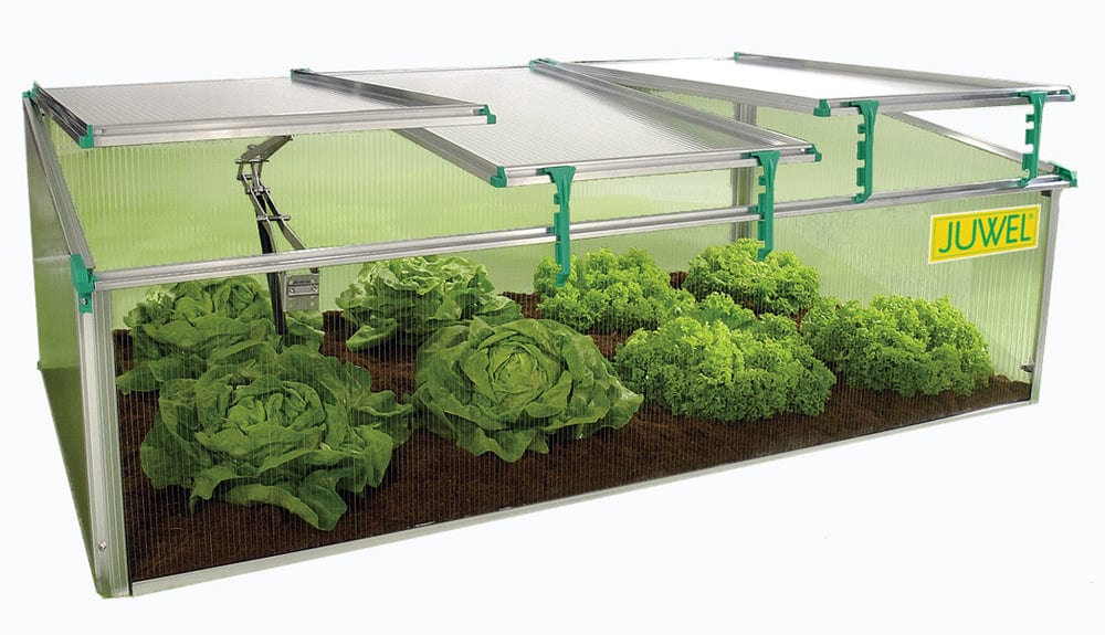 Biostar 1500 Cold Frame