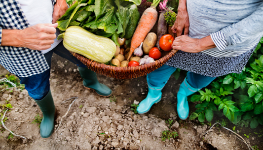 Composting 101