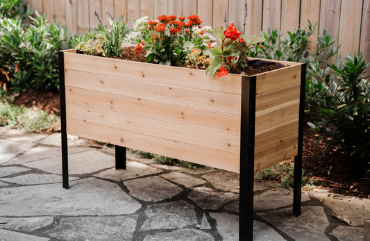 The Benefits of Raised Garden Beds