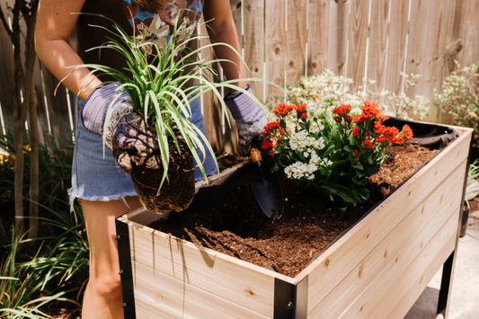 How to Prepare Your Raised Garden Beds for Planting