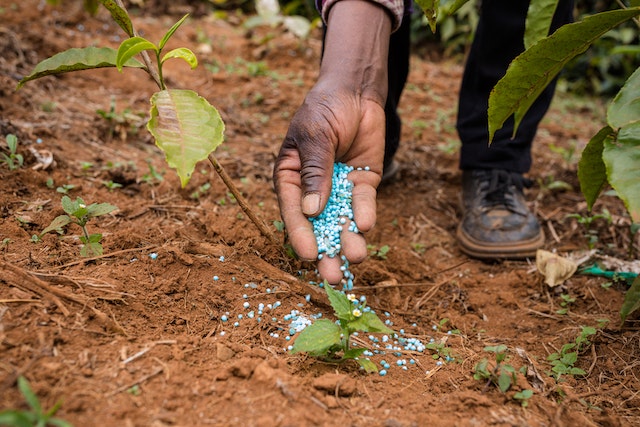 How to Choose the Right Fertilizer for Your Garden