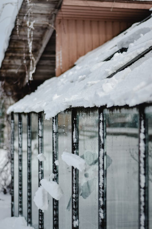 Tips for Maintaining Your Greenhouse During the Winter
