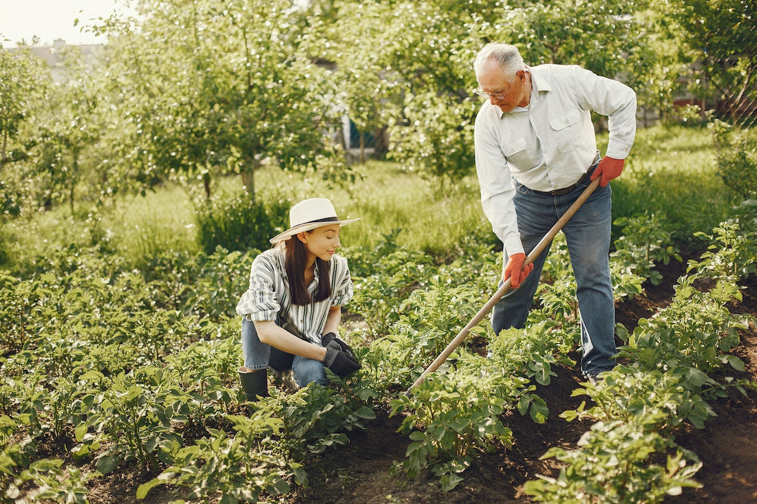 Time Saving Tips for Vegetable Gardeners