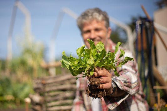 Common Vegetable Gardening Mistakes and How To Avoid Them