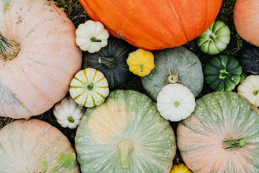 10 Best Crops for Your Fall Garden