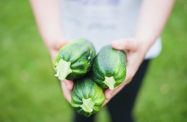 How to Harvest Your Own Vegetables