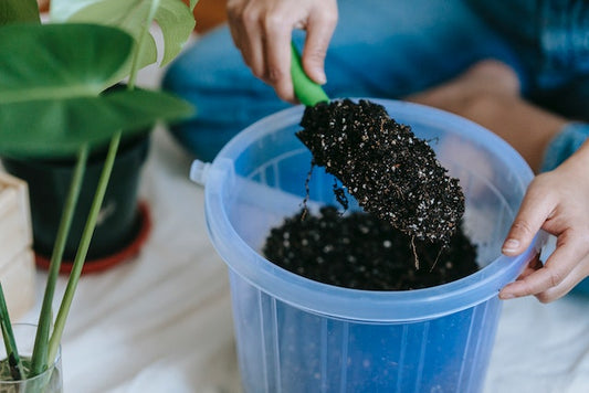 Indoor Gardening 101