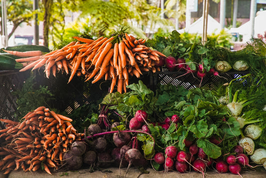 Best Shade Tolerant Vegetables for Your Garden