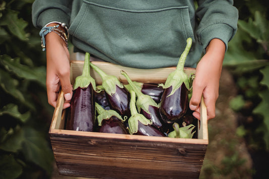 Why Grow Your Own Food?