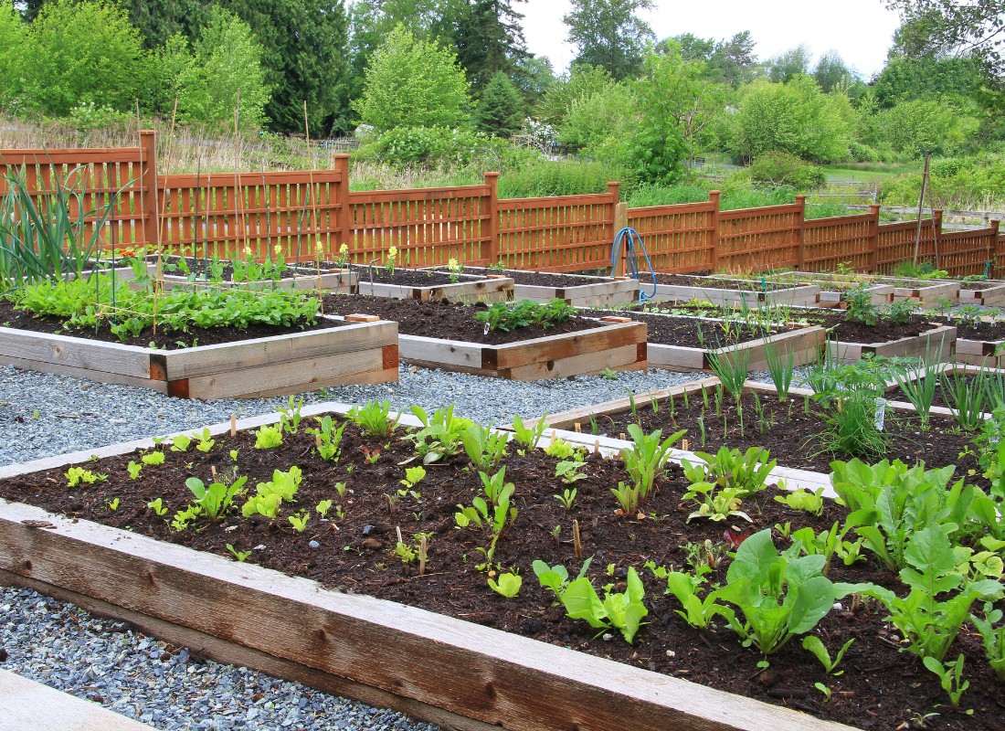 Urban Gardening