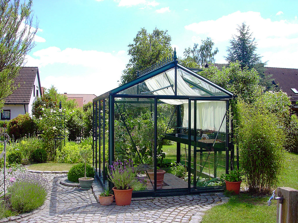 Janssens Royal Victorian Glass Greenhouse  VI23 10' x 8'