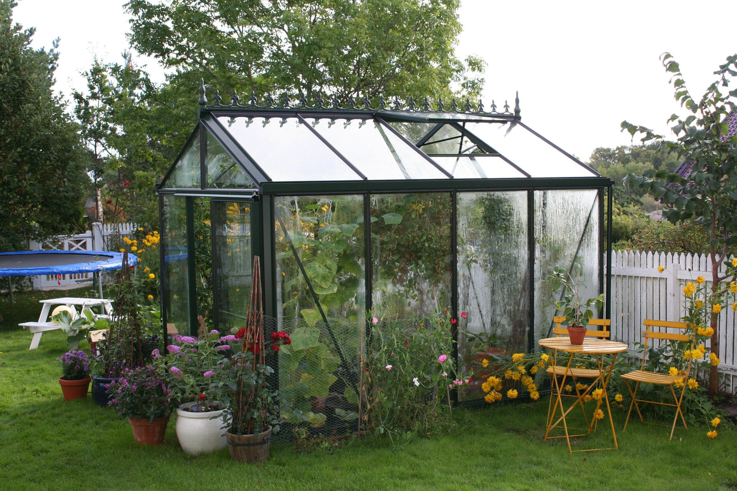 Janssens Royal Victorian Glass Greenhouse  VI23 10' x 8'