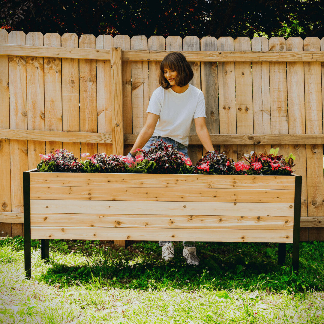 Cedar Planters 18″ X 72″ RAISED GARDEN BED - 30" TALL