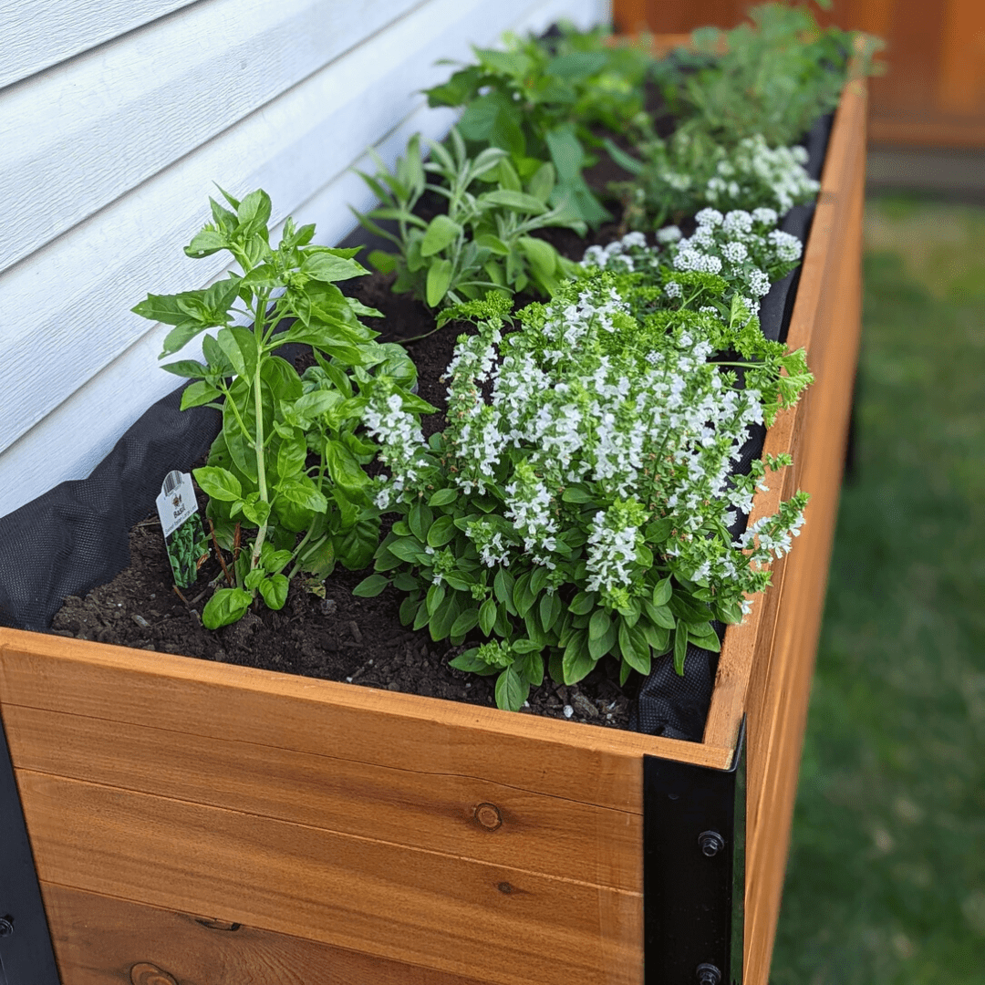 18" X 72" PLANTER BOX - 24" TALL