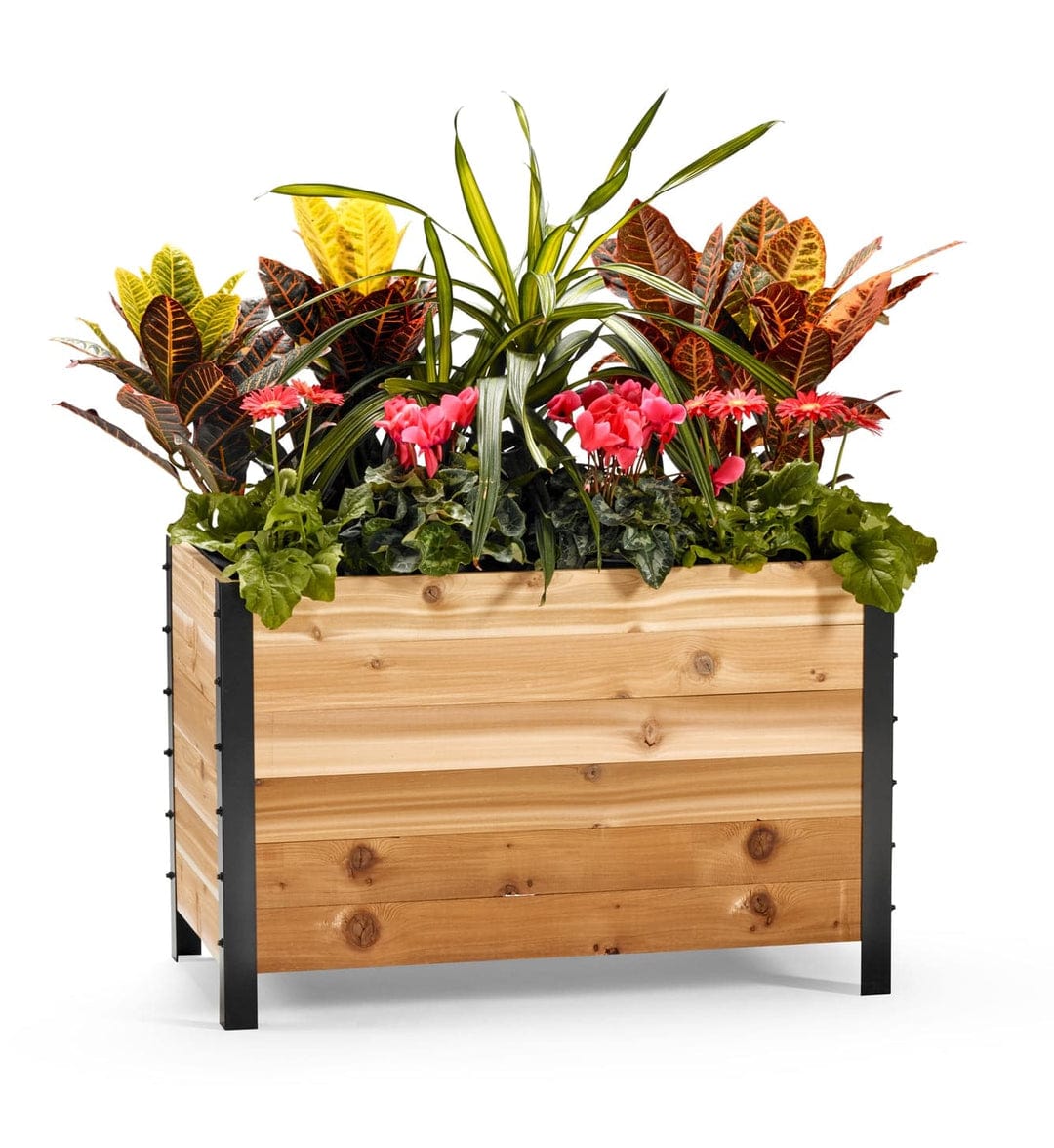 Cedar Planters Garden Beds/Planters Heartland Greenhouse and Garden