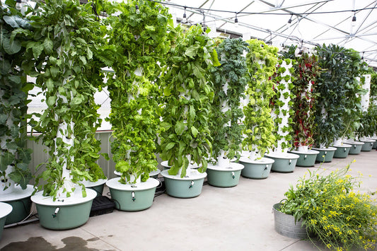 Tower Garden Community Garden