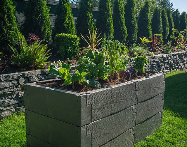 Juwel  Kombi  "Timber"  Raised Bed & Cold Frame Combination